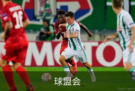 了解球盟会