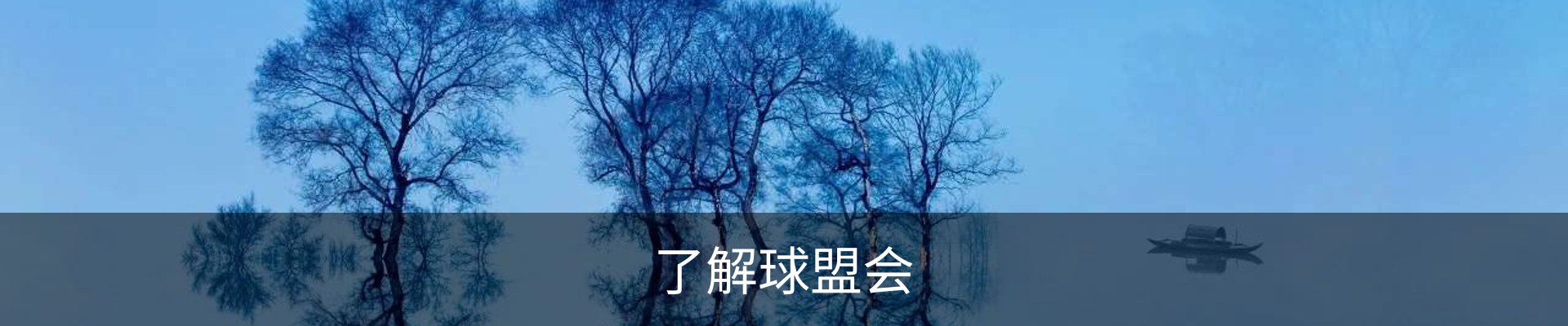 了解球盟会